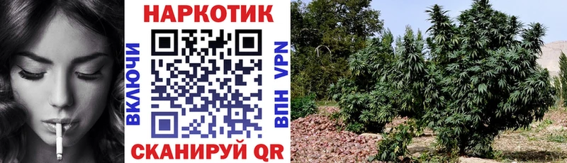 Купить наркотики Кириллов Псилоцибиновые грибы  Кокаин  блэк спрут ссылка  ГАШ  А ПВП  Мефедрон 