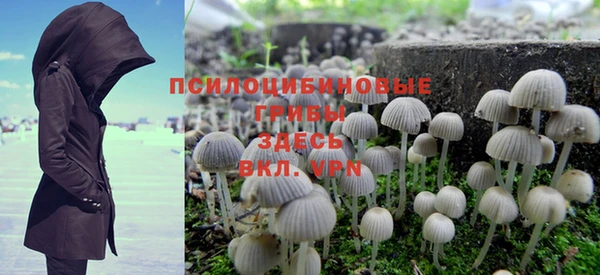 а пвп мука Бородино