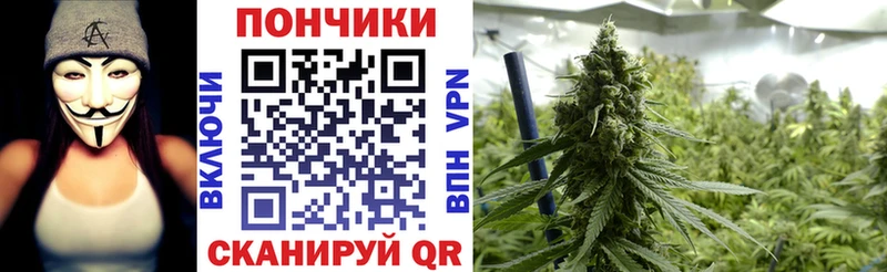 цена   Кириллов  hydra сайт  Шишки марихуана конопля 